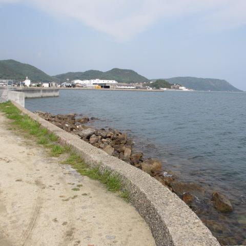 岡山県の釣りポイント,琴浦港西の港周辺