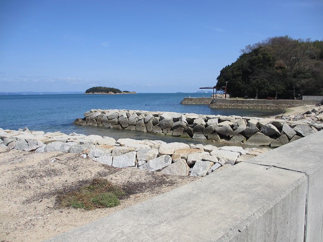 田井浜港の海釣りポイント